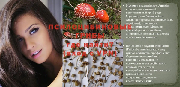 spice Лагань