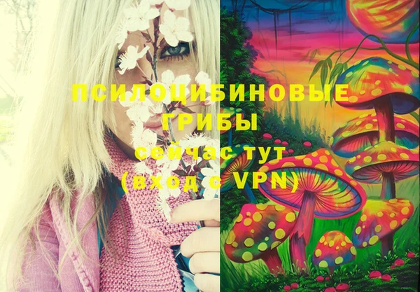 дурь Ладушкин