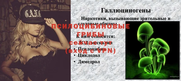 дурь Лабытнанги