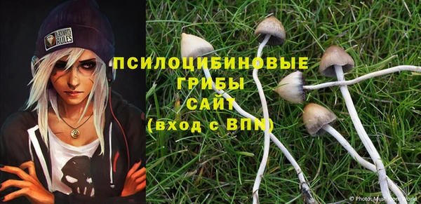 spice Лагань