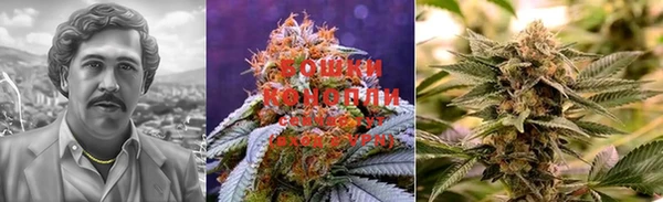 дурь Лабытнанги
