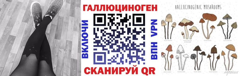 ОМГ ОМГ ONION  Урус-Мартан  Галлюциногенные грибы Cubensis 