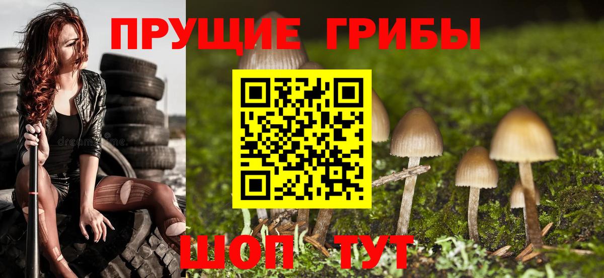 Галлюциногенные грибы прущие грибы Урус-Мартан