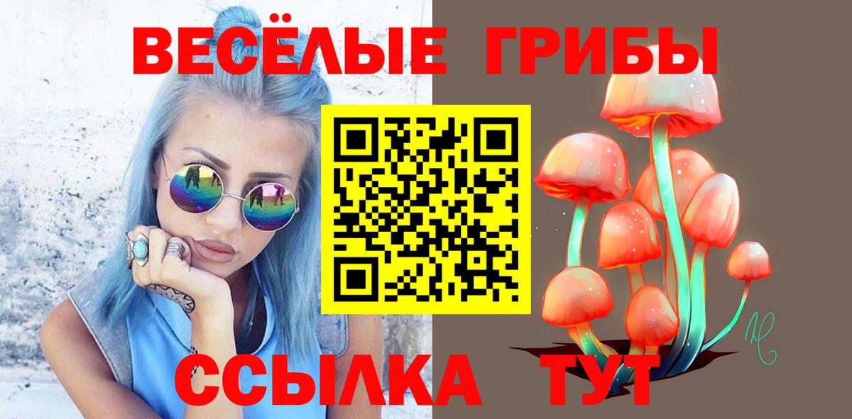 Псилоцибиновые грибы GOLDEN TEACHER  Галлюциногенные грибы Cubensis  Урус-Мартан 